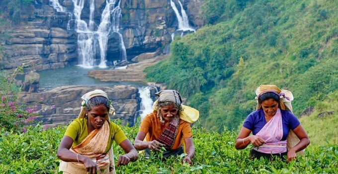 Multiple Recruitment for Farm Workers in Canada