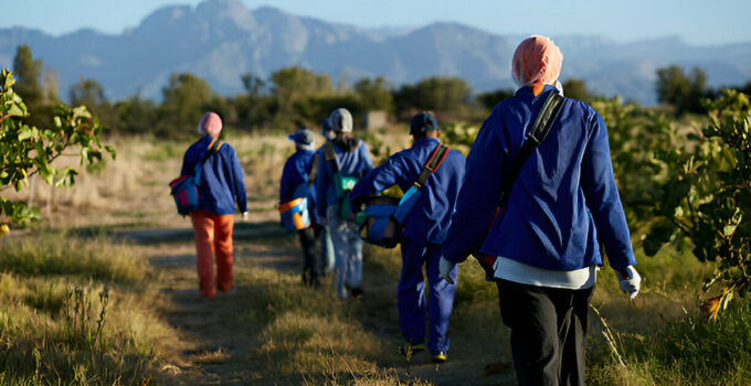 General Farm Worker Jobs in Canada with Visa Sponsorships: Earn $17.40 Per Hour – LMIA Approved