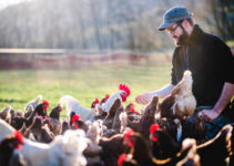 $15,000 High Paying Germany Poultry Jobs with Visa Sponsorship $15,000 High Paying Germany Poultry Jobs with Visa Sponsorship