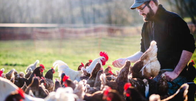 $15,000 High Paying Germany Poultry Jobs with Visa Sponsorship